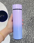 Digital Temperature Display Water Bottle