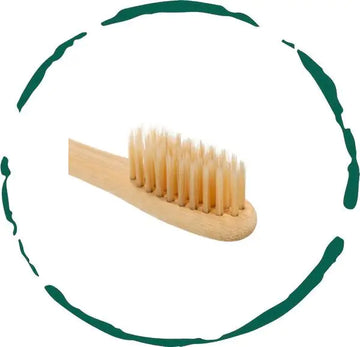 Brosse à dents en bambou. Doux, respectueux de l’environnement